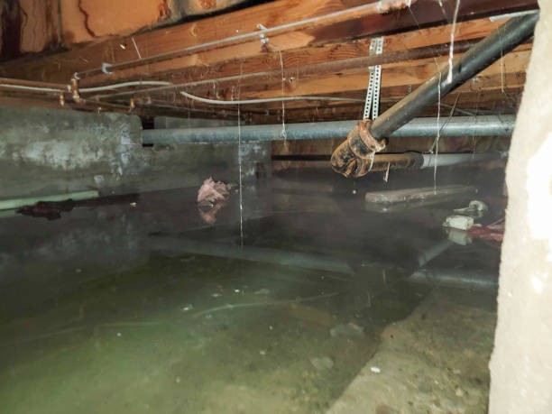 Best Water damage restoration specialists  in Hagaman, NY