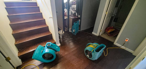Best Local water damage restoration  in Hagaman, NY