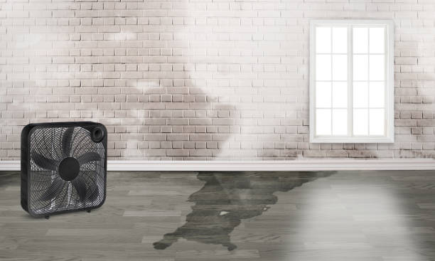 Local water damage restoration in NY