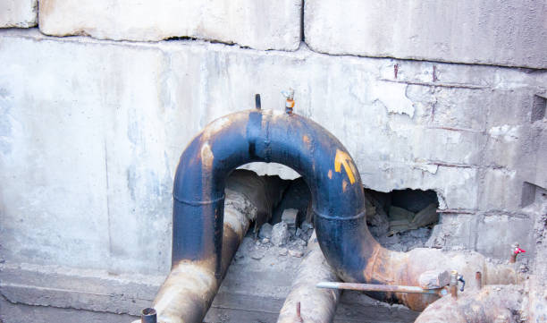 Best Professional water damage repair  in Hagaman, NY